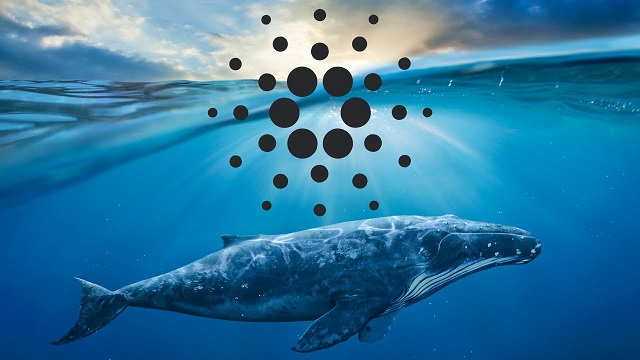 نهنگ کاردانو: ADA می‌تواند مانند بیت کوین ضد تورمی شود

