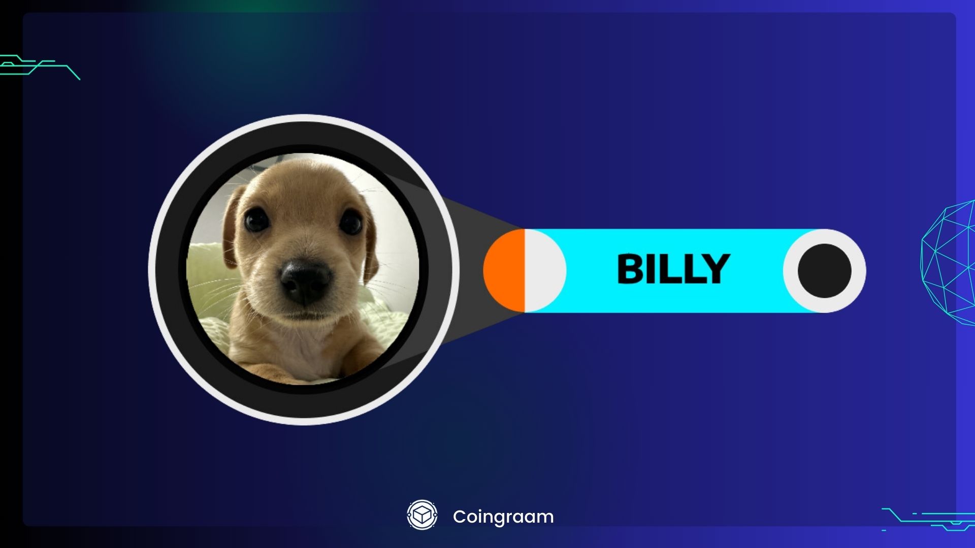 بیلی (BILLY): معرفی بامزه‌ترین سگ در بلاکچین سولانا در کوینکس لیست شد!