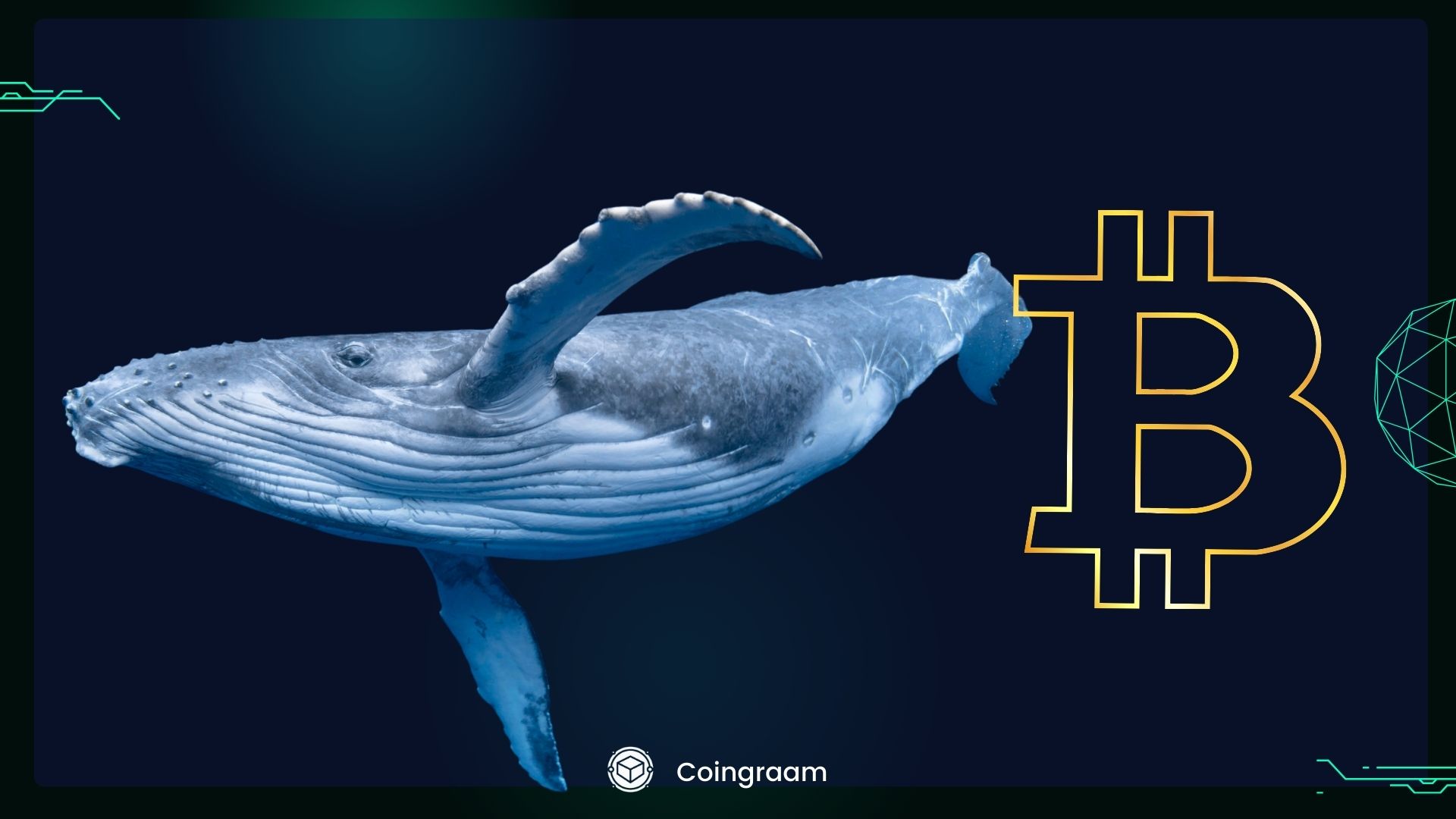 تحرکات قابل توجه نهنگ‌ها در بازار کریپتو؛ انتقال بیش از ۱ میلیارد دلار به کوین‌بیس!