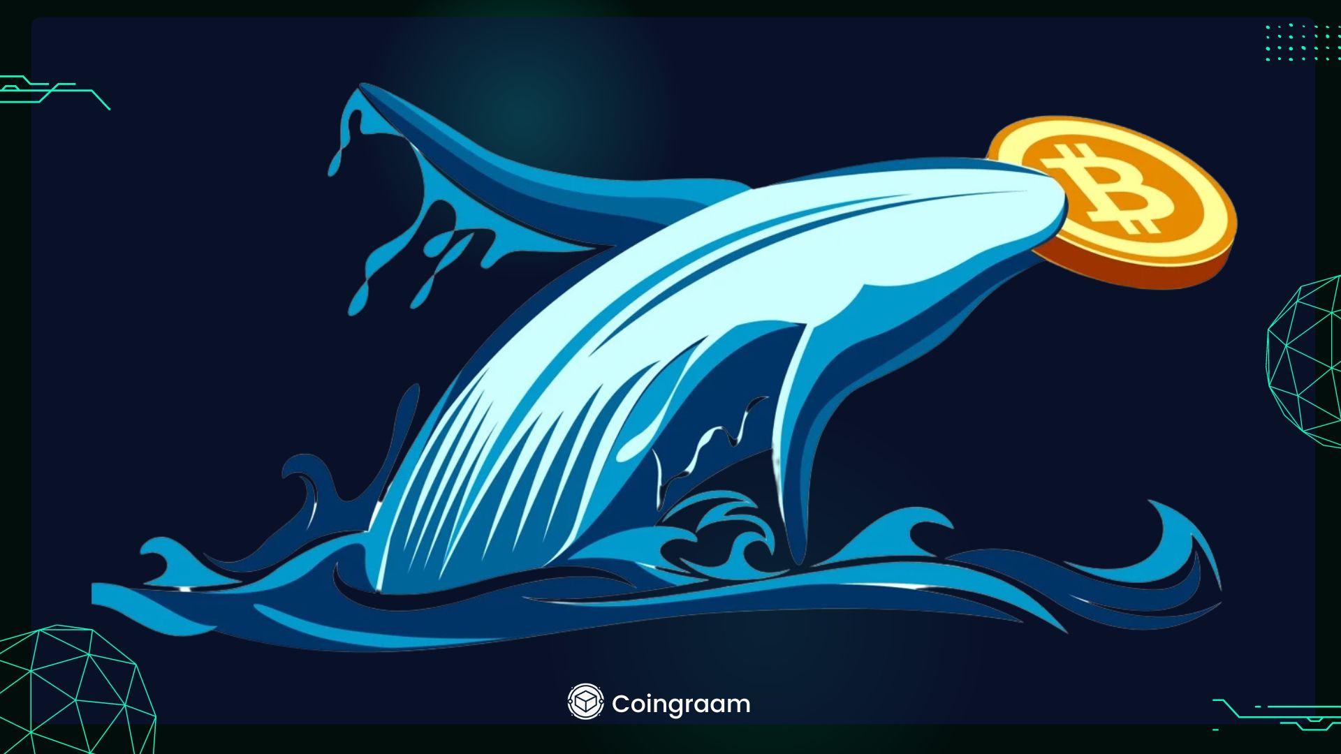نهنگ‌های بازار بیت کوین را می‌بلعند: پیش‌بینی هیجان‌انگیز قیمت تا ۵۱ هزار دلار!