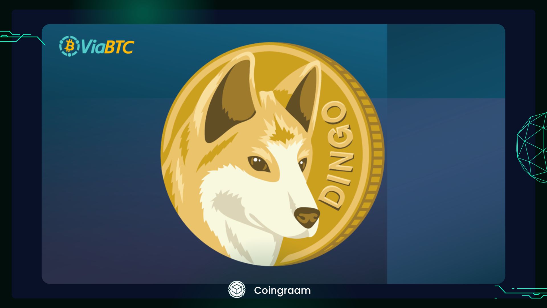 راهنمای جامع استخراج دینگوکوین (Dingocoin) در ViaBTC