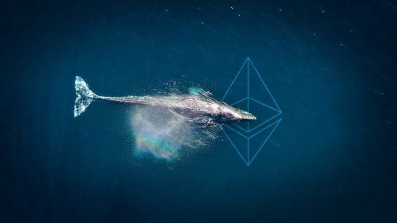 افزایش نهنگ‌های اتریوم همزمان با با رشد اتر