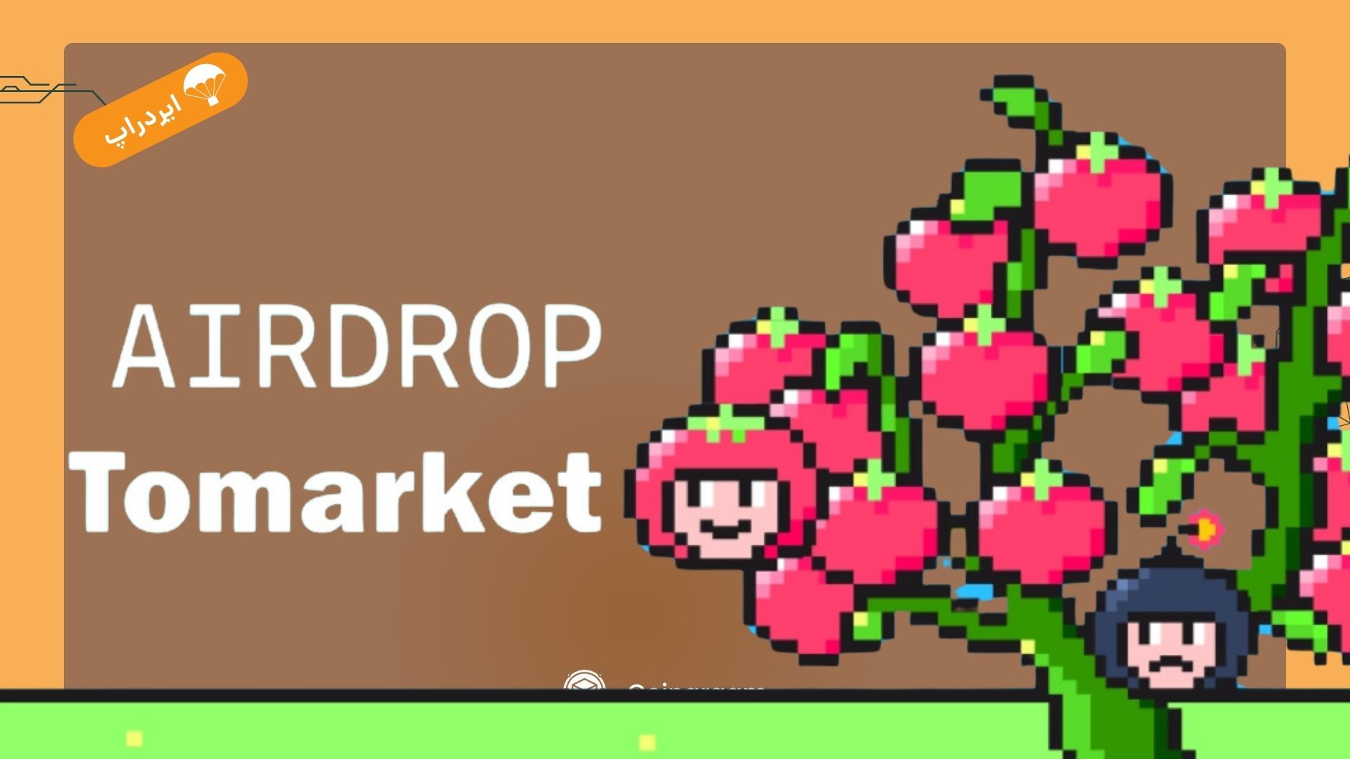 معرفی و آموزش شرکت در ایردراپ Tomato