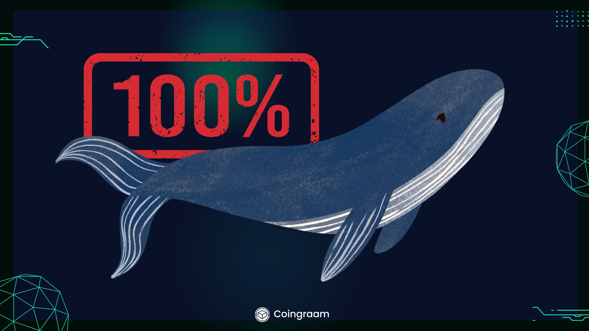 وین ریت 100 درصدی یکی از نهنگ‌های بازار!