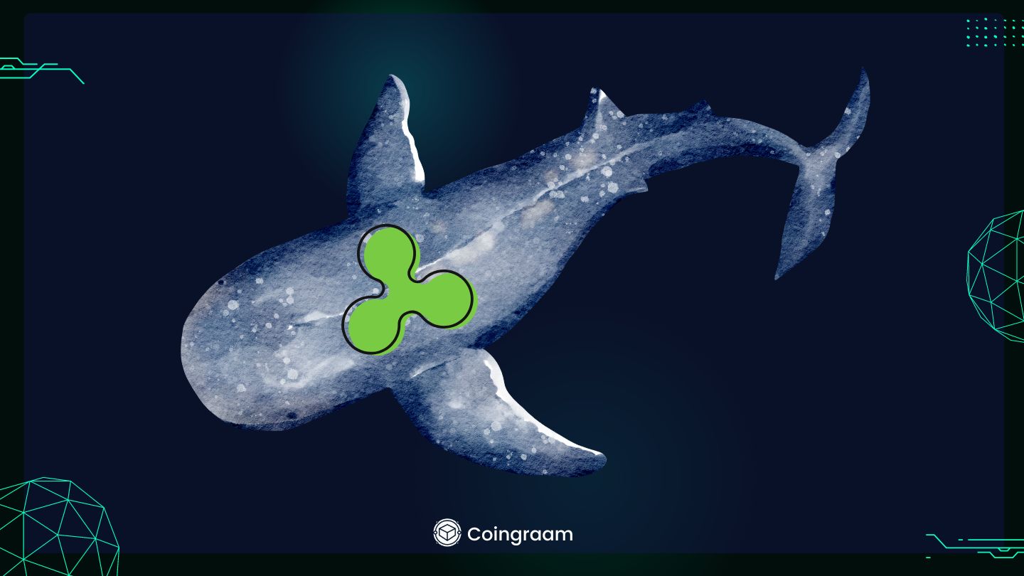 XRP زیر ذره‌بین نهنگ‌ها؛ ۹۱۵ میلیون دلار انباشت، بازار آماده حرکت بزرگ؟