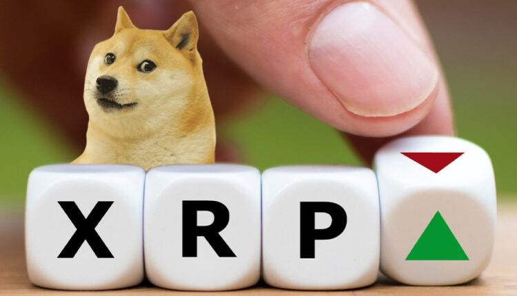 صعود قیمت ریپل و دوج کوین همزمان با رسیدن بیت کوین به ۳۵,۰۰۰ دلار