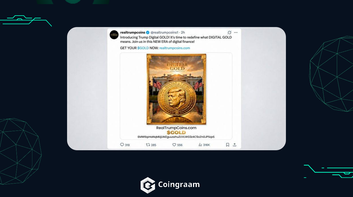 کلاهبرداری توکن GOLD؛ سود ۳۱۲ هزار دلاری از راگ پول جدید!